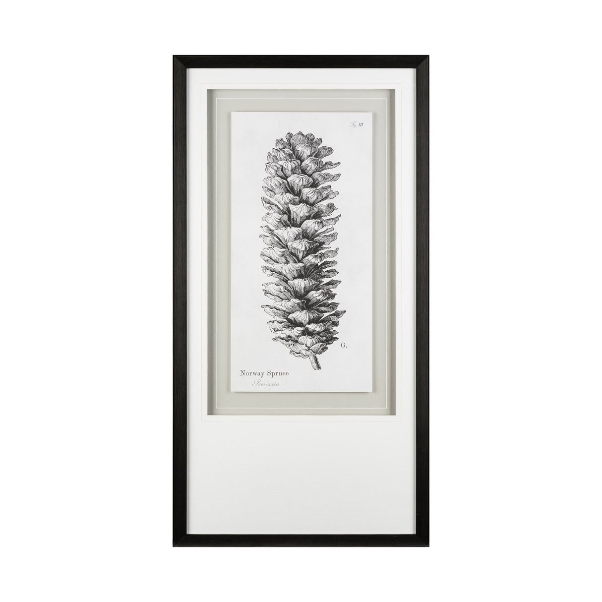 Norway Spruce by Maria Mendez a Framed Art Print Matted under Glass by Mercana at Eve Furniture