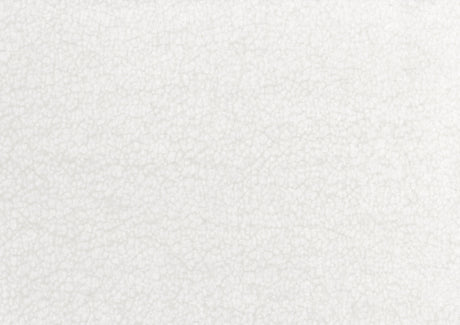 Novella White Sofa by Homelegance at Eve Furniture