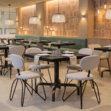 Novi Dove Gray Dining Chair (Set of 2) by Zuomod at Eve Furniture