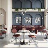 Novi Maroon Brown Dining Chair (Set of 2) by Zuomod at Eve Furniture