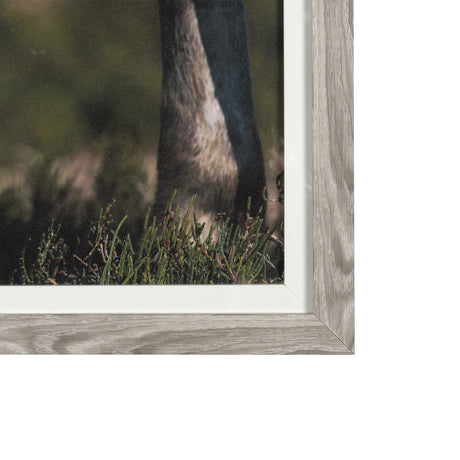 Nuzzled Together by Mercana Studio a Hand Embellished Textured Framed Art Photo Matted under Glass by Mercana at Eve Furniture