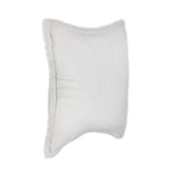 NV Taiga Ivory Faux Fur Multiple Sizes 22x22 Throw Pillow (Set of 2) by Classic Home at Eve Furniture