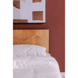 O2 Natural Queen Bed by MOES at Eve Furniture