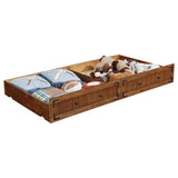 Oakdale Rustic Honey Wood Twin Daybed with Trundle by Coaster at Eve Furniture