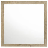 Oakglen Weathered Oak Dresser Mirror by Coaster at Eve Furniture