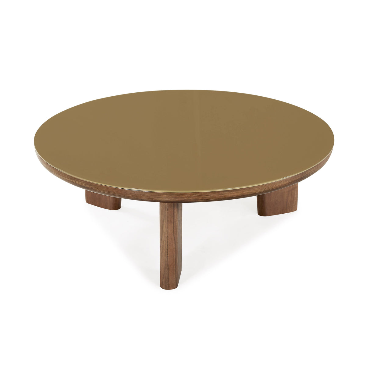 Oani Walnut and Glass Round Coffee Table by TOV Furniture at Eve Furniture