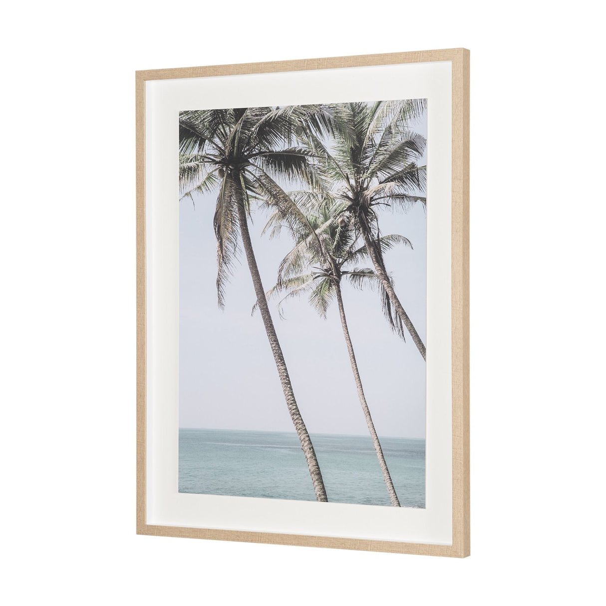 Ocean Breeze Palms by Shot By Clint Framed Photo Print Matted under Glass by Mercana at Eve Furniture