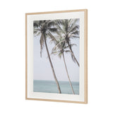 Ocean Breeze Palms by Shot By Clint Framed Photo Print Matted under Glass by Mercana at Eve Furniture