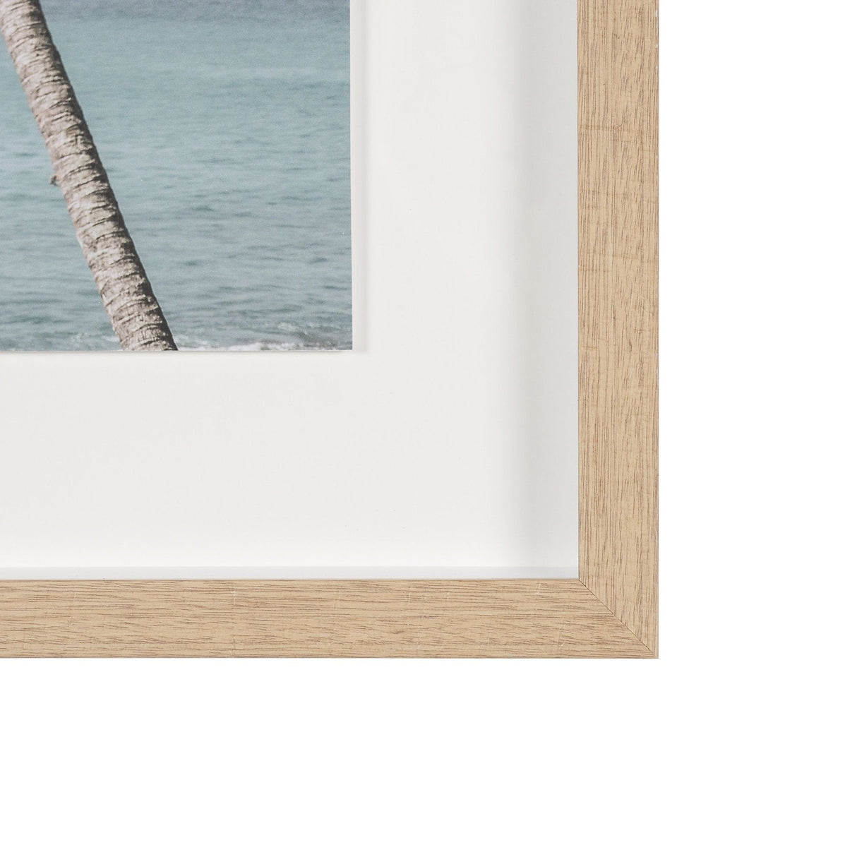 Ocean Breeze Palms by Shot By Clint Framed Photo Print Matted under Glass by Mercana at Eve Furniture