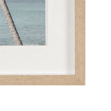 Ocean Breeze Palms by Shot By Clint Framed Photo Print Matted under Glass by Mercana at Eve Furniture