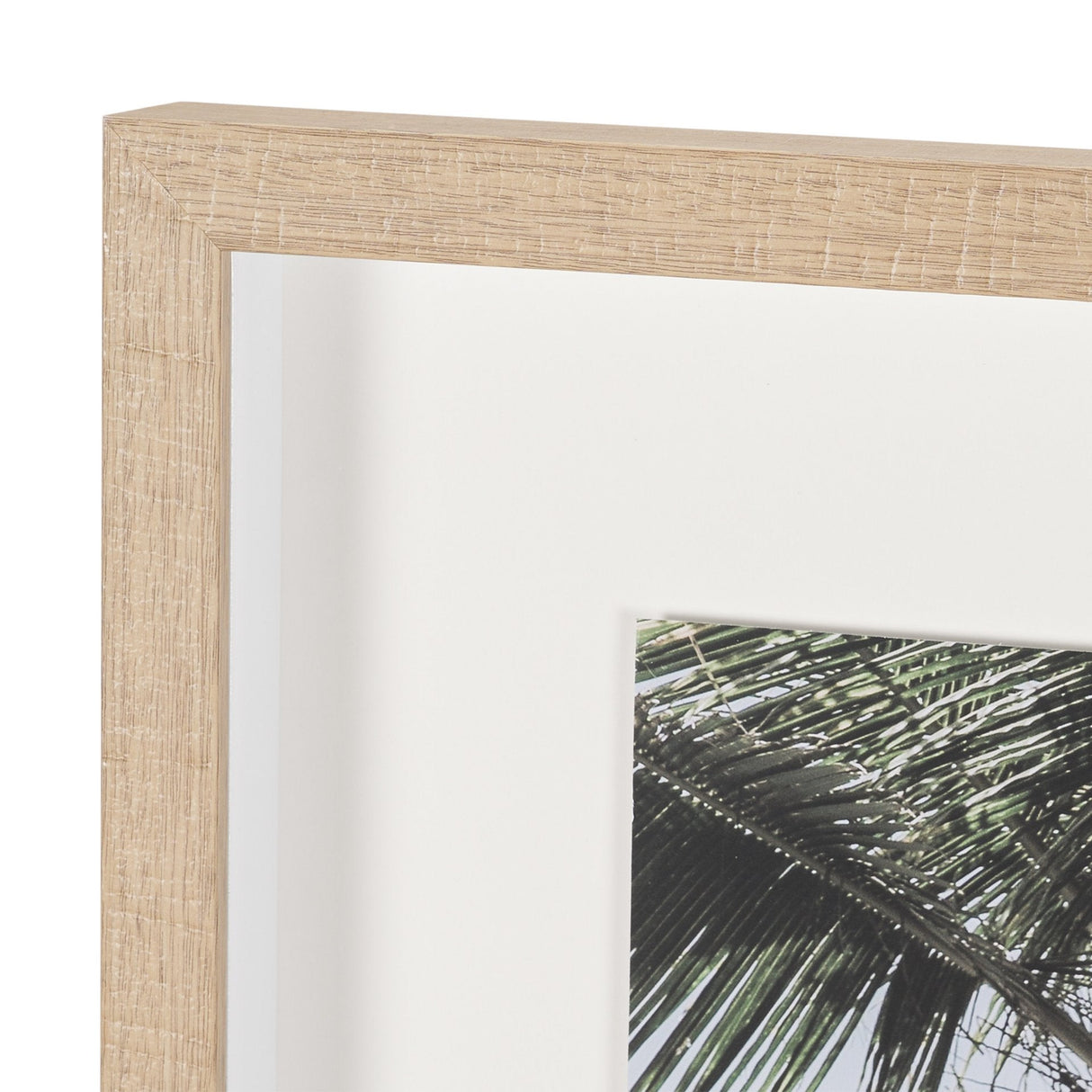 Ocean Breeze Palms by Shot By Clint Framed Photo Print Matted under Glass by Mercana at Eve Furniture
