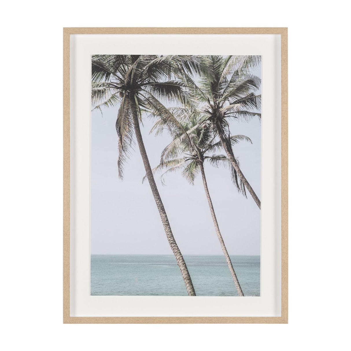 Ocean Breeze Palms by Shot By Clint Framed Photo Print Matted under Glass by Mercana at Eve Furniture