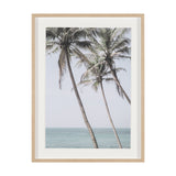 Ocean Breeze Palms by Shot By Clint Framed Photo Print Matted under Glass by Mercana at Eve Furniture