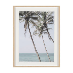 Ocean Breeze Palms by Shot By Clint Framed Photo Print Matted under Glass by Mercana at Eve Furniture