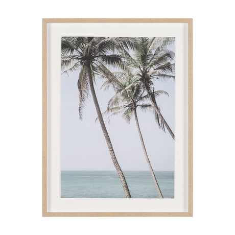 Ocean Breeze Palms by Shot By Clint Framed Photo Print Matted under Glass by Mercana at Eve Furniture