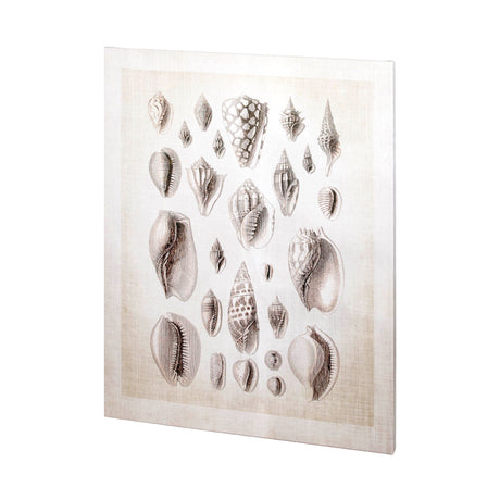 Ocean Shell Collection I by Christopher James a Hand Embellished Textured Canvas by Mercana at Eve Furniture