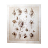 Ocean Shell Collection II by Christopher James a Hand Embellished Textured Canvas by Mercana at Eve Furniture