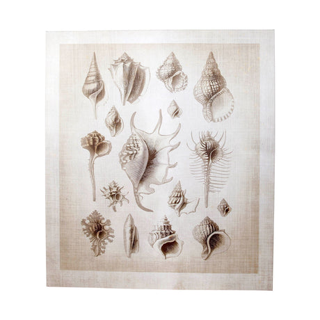 Ocean Shell Collection II by Christopher James a Hand Embellished Textured Canvas by Mercana at Eve Furniture