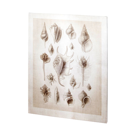 Ocean Shell Collection II by Christopher James a Hand Embellished Textured Canvas by Mercana at Eve Furniture