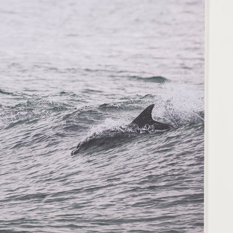 Ocean's Dance by Shot By Clint Framed Photo Print Matted under Glass by Mercana at Eve Furniture