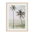 Oceanside Palms by Shot By Clint Framed Photo Print Matted under Glass by Mercana at Eve Furniture