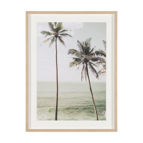 Oceanside Palms by Shot By Clint Framed Photo Print Matted under Glass by Mercana at Eve Furniture