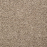 Octavia Camel Track Arm Accent Chair by Coaster at Eve Furniture