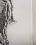 Old West Collection IV (Cow Sketch) by Mercana Studio a Hand Embellished Textured Canvas by Mercana at Eve Furniture