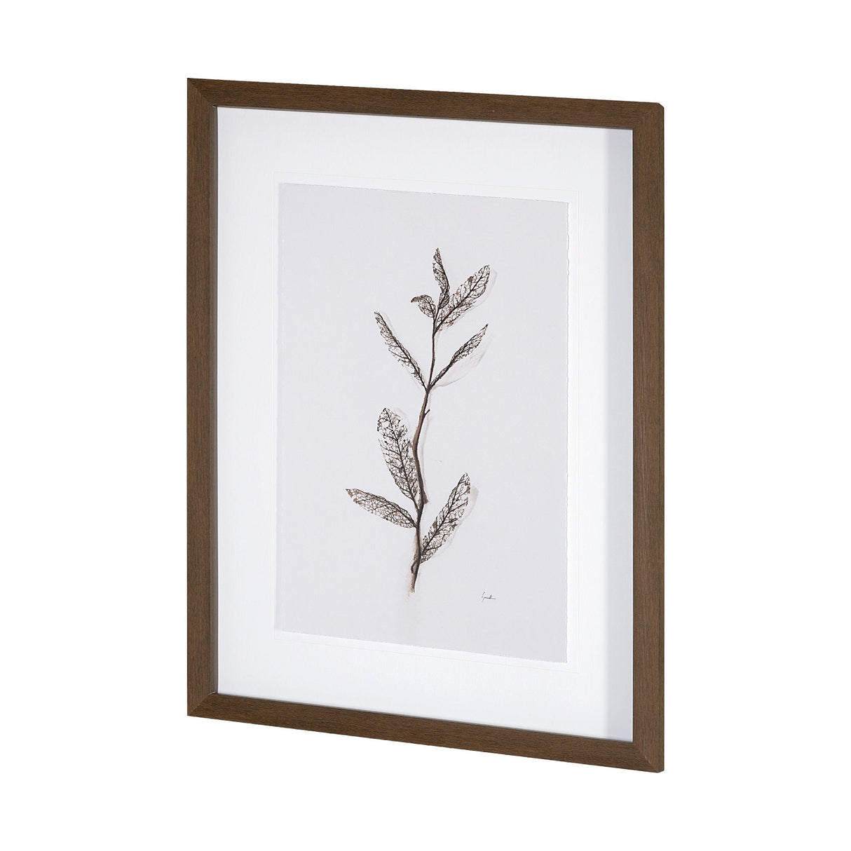 Olive Branch I by Gabrielle a Framed Art Print Matted under Glass by Mercana at Eve Furniture