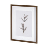 Olive Branch I by Gabrielle a Framed Art Print Matted under Glass by Mercana at Eve Furniture