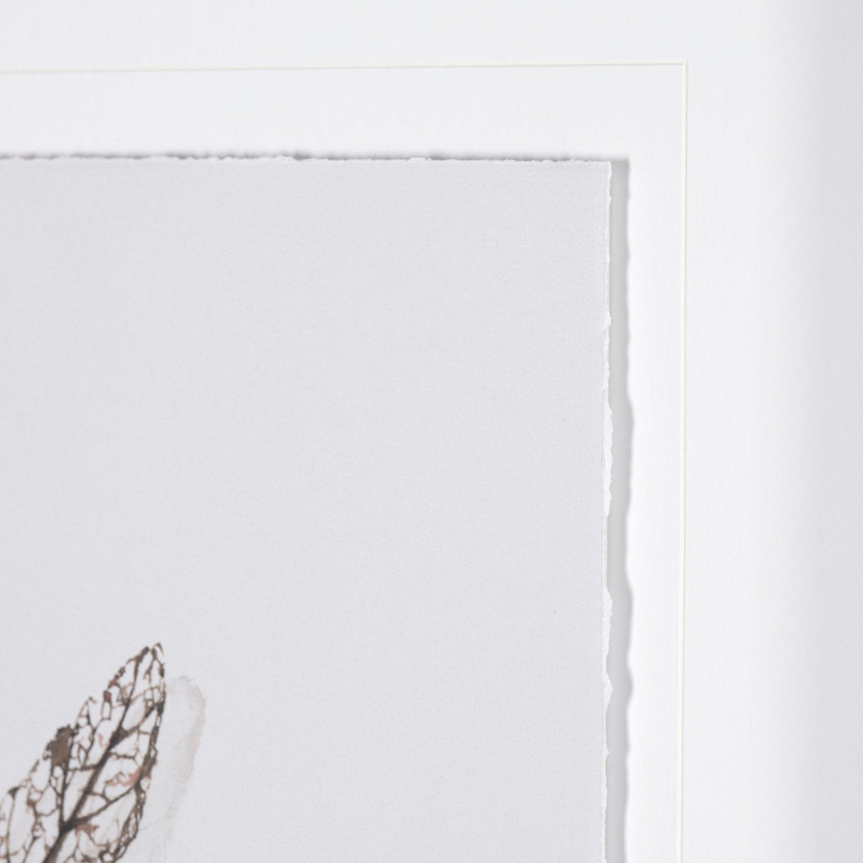 Olive Branch I by Gabrielle a Framed Art Print Matted under Glass by Mercana at Eve Furniture