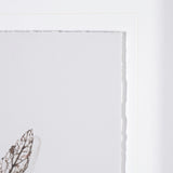 Olive Branch I by Gabrielle a Framed Art Print Matted under Glass by Mercana at Eve Furniture