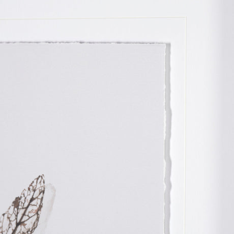 Olive Branch I by Gabrielle a Framed Art Print Matted under Glass by Mercana at Eve Furniture
