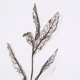 Olive Branch I by Gabrielle a Framed Art Print Matted under Glass by Mercana at Eve Furniture