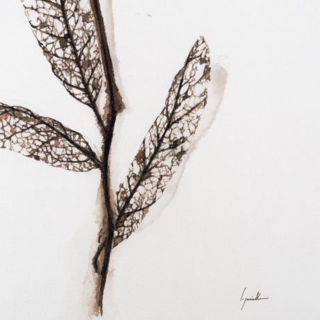 Olive Branch I by Gabrielle a Framed Art Print Matted under Glass by Mercana at Eve Furniture