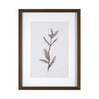 Olive Branch I by Gabrielle a Framed Art Print Matted under Glass by Mercana at Eve Furniture