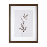 Olive Branch I by Gabrielle a Framed Art Print Matted under Glass by Mercana at Eve Furniture