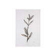 Olive Branch I by Gabrielle Campbell a Hand Embellished Textured Canvas by Mercana at Eve Furniture
