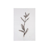 Olive Branch I by Gabrielle Campbell a Hand Embellished Textured Canvas by Mercana at Eve Furniture