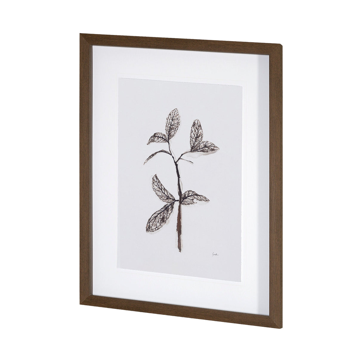 Olive Branch II by Gabrielle a Framed Art Print Matted under Glass by Mercana at Eve Furniture