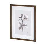 Olive Branch II by Gabrielle a Framed Art Print Matted under Glass by Mercana at Eve Furniture