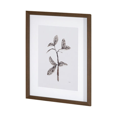 Olive Branch II by Gabrielle a Framed Art Print Matted under Glass by Mercana at Eve Furniture