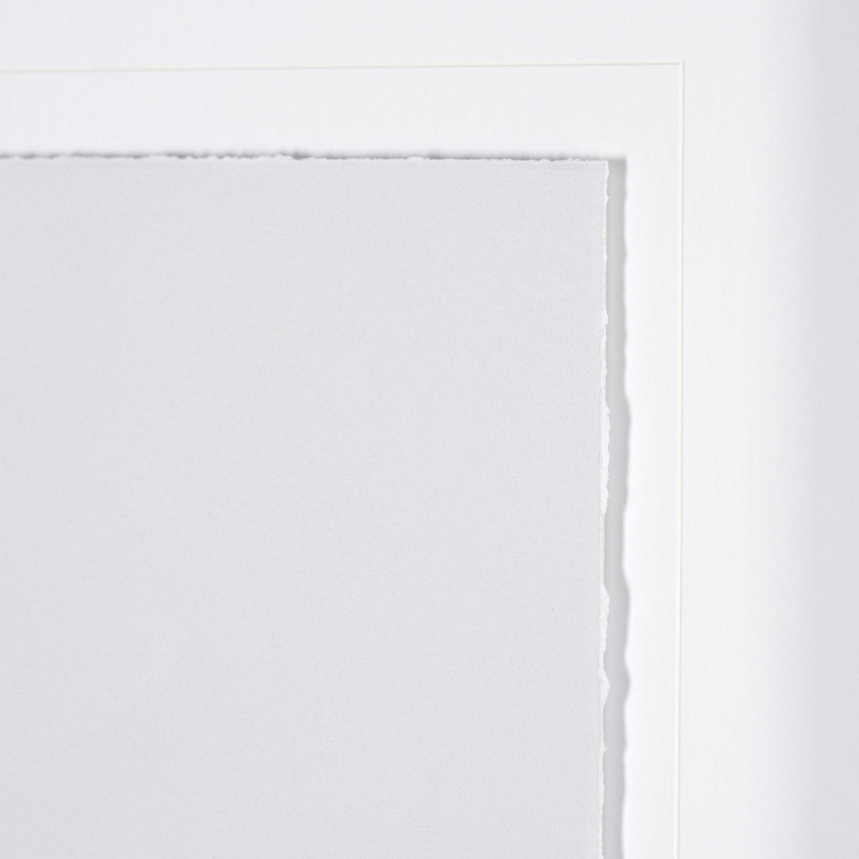 Olive Branch II by Gabrielle a Framed Art Print Matted under Glass by Mercana at Eve Furniture