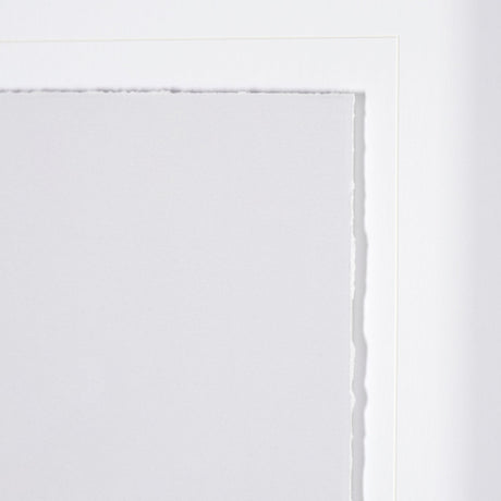 Olive Branch II by Gabrielle a Framed Art Print Matted under Glass by Mercana at Eve Furniture