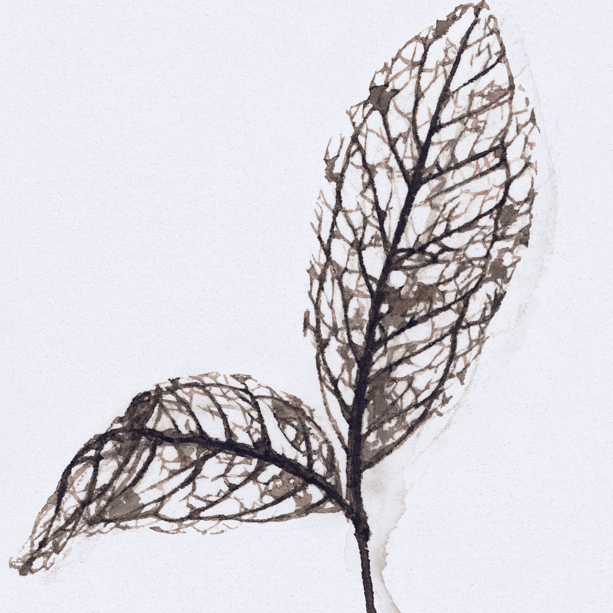 Olive Branch II by Gabrielle a Framed Art Print Matted under Glass by Mercana at Eve Furniture