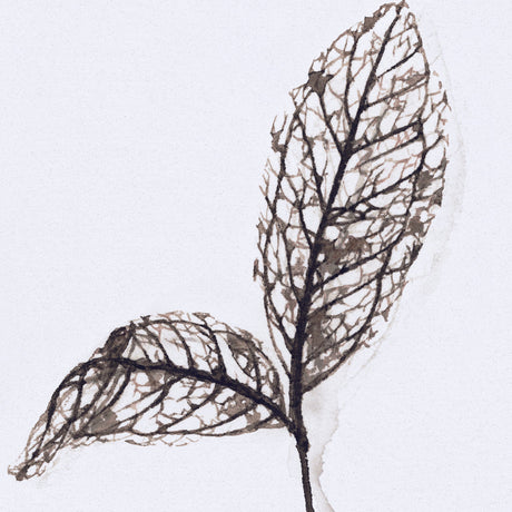 Olive Branch II by Gabrielle a Framed Art Print Matted under Glass by Mercana at Eve Furniture