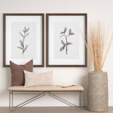 Olive Branch II by Gabrielle a Framed Art Print Matted under Glass by Mercana at Eve Furniture
