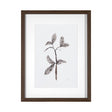 Olive Branch II by Gabrielle a Framed Art Print Matted under Glass by Mercana at Eve Furniture