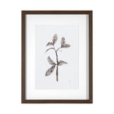 Olive Branch II by Gabrielle a Framed Art Print Matted under Glass by Mercana at Eve Furniture
