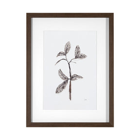 Olive Branch II by Gabrielle a Framed Art Print Matted under Glass by Mercana at Eve Furniture